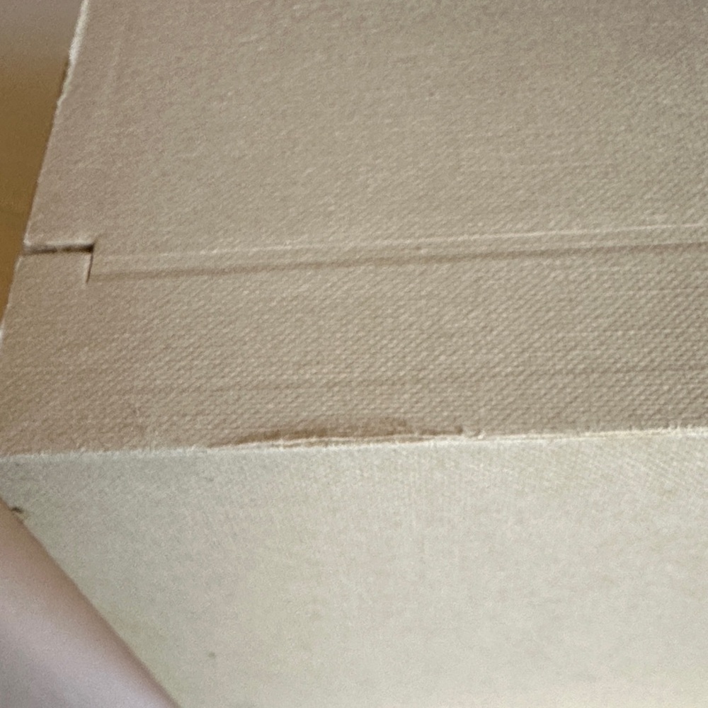 Burberry Cream Canvas Watch Box with Black Equestrian Logo - Picture 5 of 9